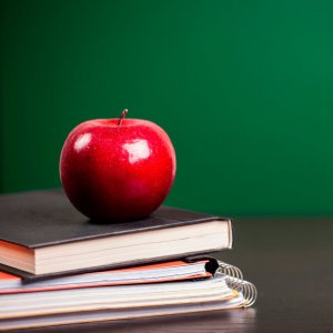 Festejo del Día del Maestro